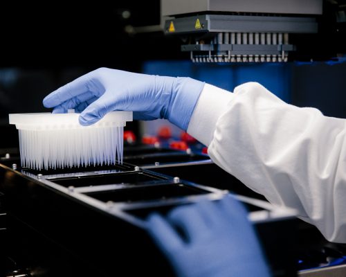 Close up of hands interacting with medical lab equipment used to research antibodies